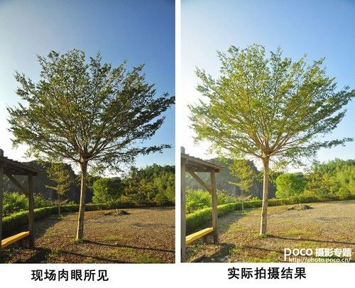 玩转点测光 实图解析测光点的精准选择-3.jpg
