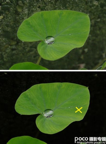玩转点测光 实图解析测光点的精准选择-5.jpg