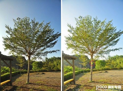 玩转点测光 实图解析测光点的精准选择-7.jpg