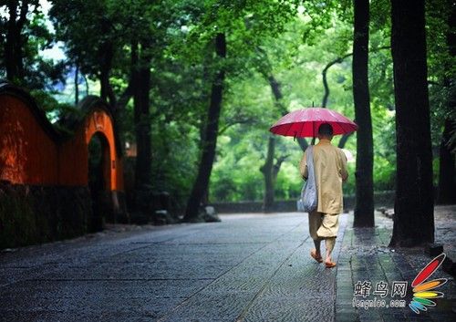 不只在于构图 入门须知摄影领域的加减法-6.jpg