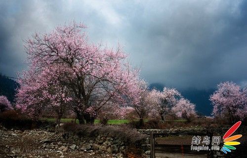 90%的人摄影基本功不及格 学如何准确曝光-3.jpg