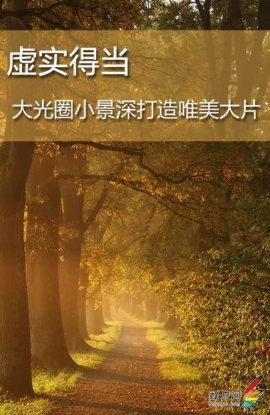 虚实得当 大光圈小景深打造唯美大片-1.jpg