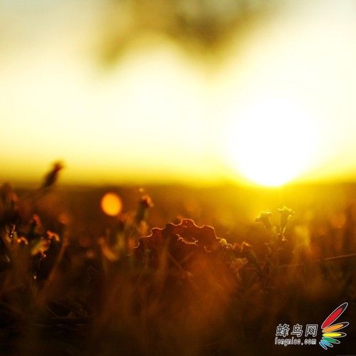 虚实得当 大光圈小景深打造唯美大片-12.jpg