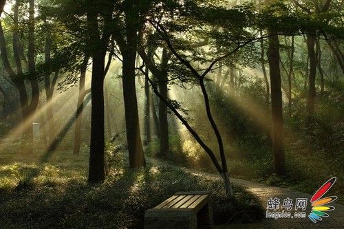 虚实得当 大光圈小景深打造唯美大片-14.jpg