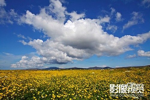 佳片解析 超实用的拍摄花卉实战小技巧-3.jpg