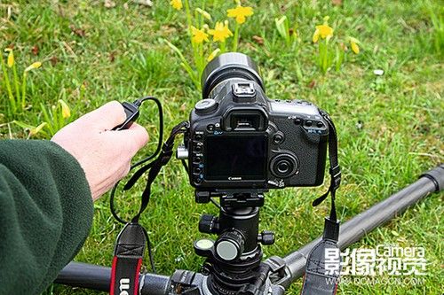 佳片解析 超实用的拍摄花卉实战小技巧-6.jpg