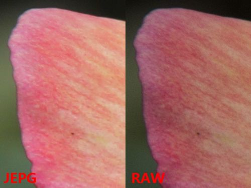 单反相机参数之RAW格式详解-5.jpg