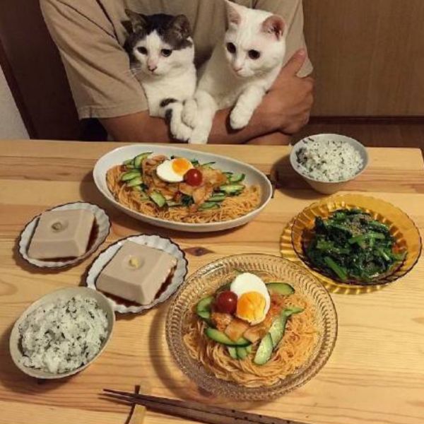 一张美食照背后，到底有多少套路？-16.jpg