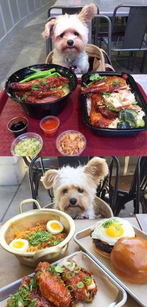 一张美食照背后，到底有多少套路？-17.jpg