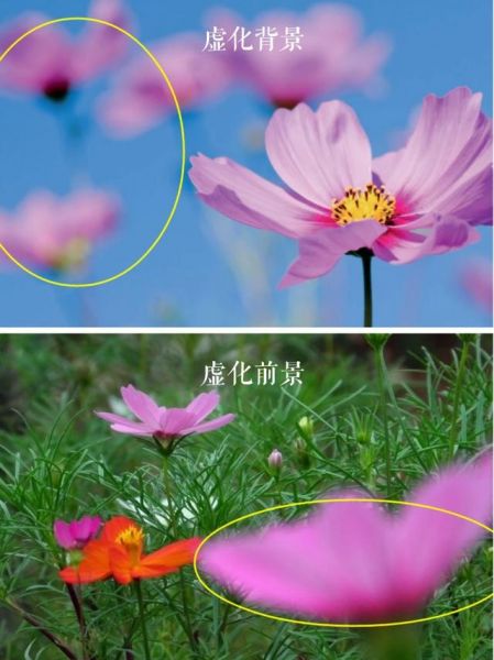 摄影中常见的7个常见错误，新手拍摄要注意这些事，照片...-6.jpg