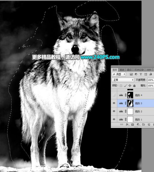 PS抠图教程：抠取毛茸茸的雪中灰狼-20.jpg