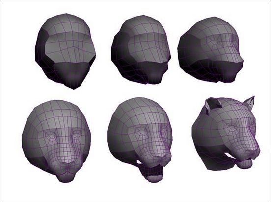 3ds Max打造勇猛的老虎-3.jpg