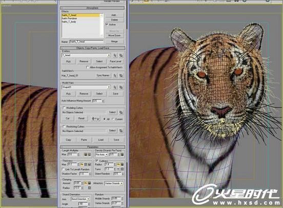 3ds Max打造勇猛的老虎-13.jpg