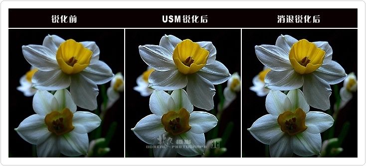 PS的锐化功能-18.jpg