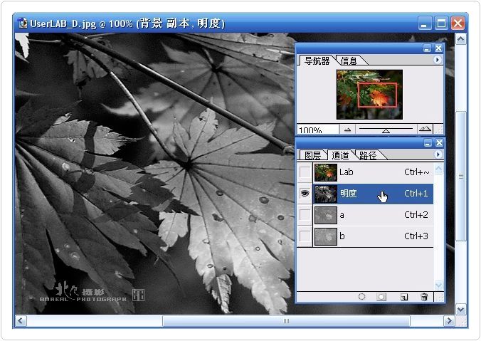 PS的锐化功能-20.jpg