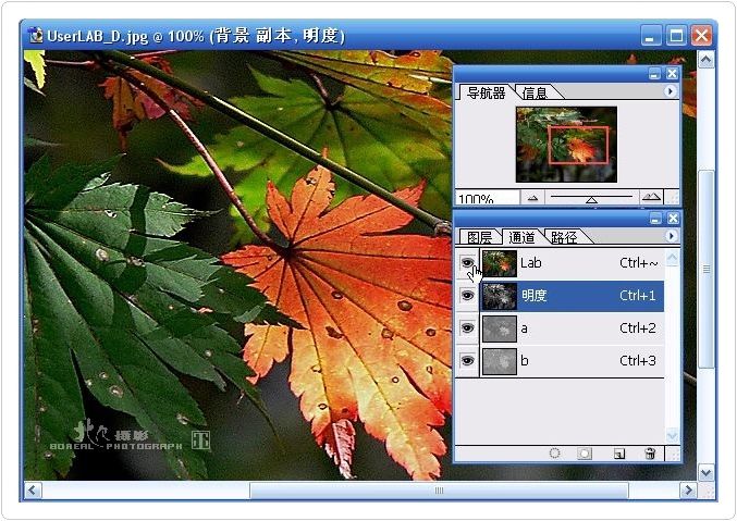 PS的锐化功能-21.jpg