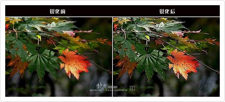 PS的锐化功能-23.jpg