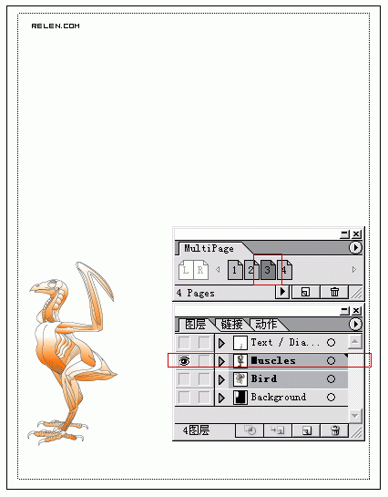 ILLUSTRATOR如何实现分页功能-23.gif