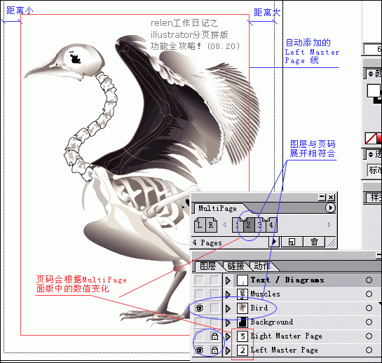 ILLUSTRATOR如何实现分页功能-31.gif