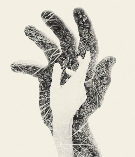 我们是自然：Christoffer Relander双重曝光摄影作品-7.jpg