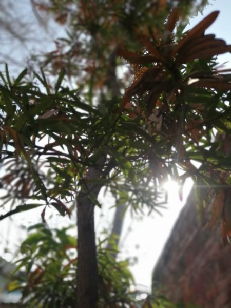 微信图片_20201106165759.jpg