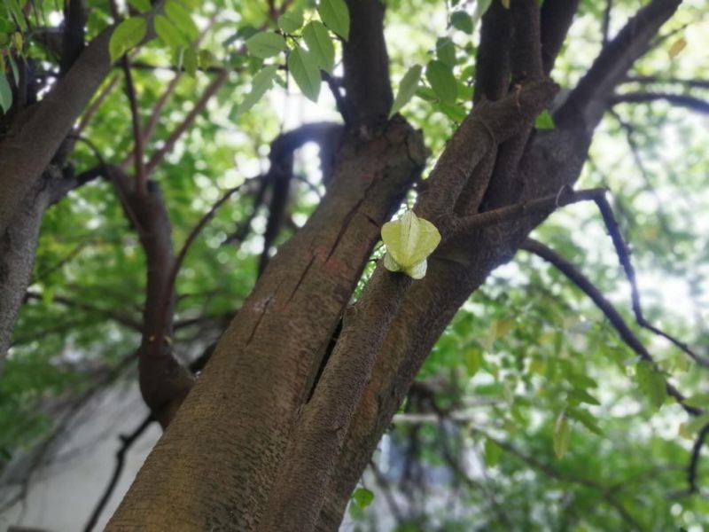 微信图片_202011061657596.jpg
