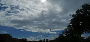 IMG_20200616_161318.jpg
