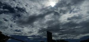 IMG_20200616_161726.jpg