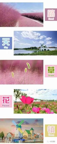 伊甸园景区摄影大赛来袭-1.jpg
