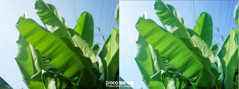用Lightroom调出夏天的味道-4.jpg