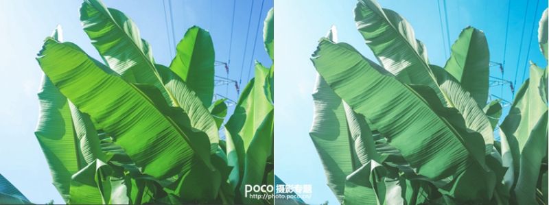 用Lightroom调出夏天的味道-8.jpg
