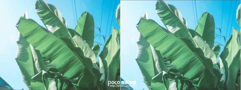 用Lightroom调出夏天的味道-9.jpg