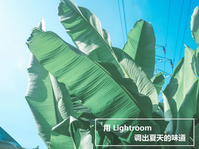 用Lightroom调出夏天的味道-20.jpg