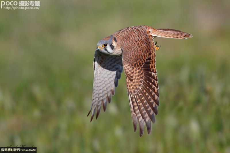 评点全球最贵的10支镜头-16.jpg