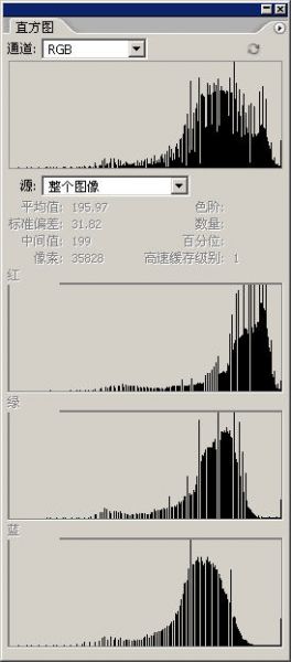 黑人变白人——PS肤色调整-10.jpg