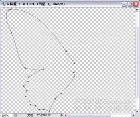 Photoshop绘制漂亮蝴蝶-2.jpg