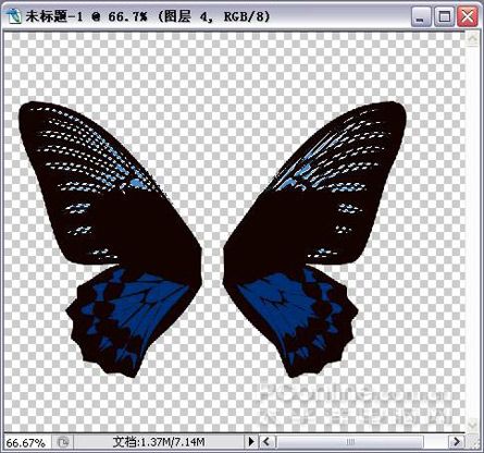 Photoshop绘制漂亮蝴蝶-7.jpg