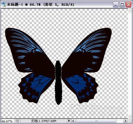 Photoshop绘制漂亮蝴蝶-8.jpg