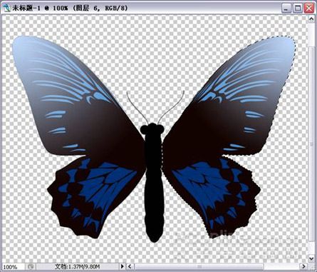 Photoshop绘制漂亮蝴蝶-13.jpg