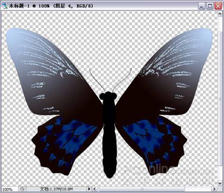 Photoshop绘制漂亮蝴蝶-17.jpg