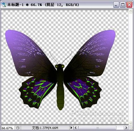 Photoshop绘制漂亮蝴蝶-27.jpg