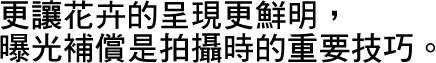 花漾少女人像拍摄攻略技巧-22.jpg