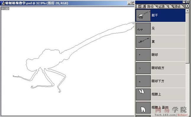 PS绘制蜻蜓的过程和效果-2.jpg