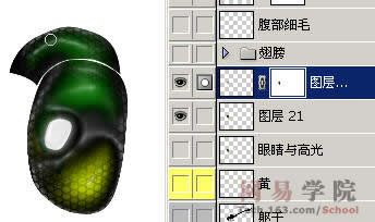 PS绘制蜻蜓的过程和效果-18.jpg