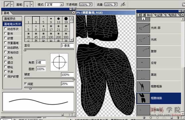PS绘制蜻蜓的过程和效果-23.jpg