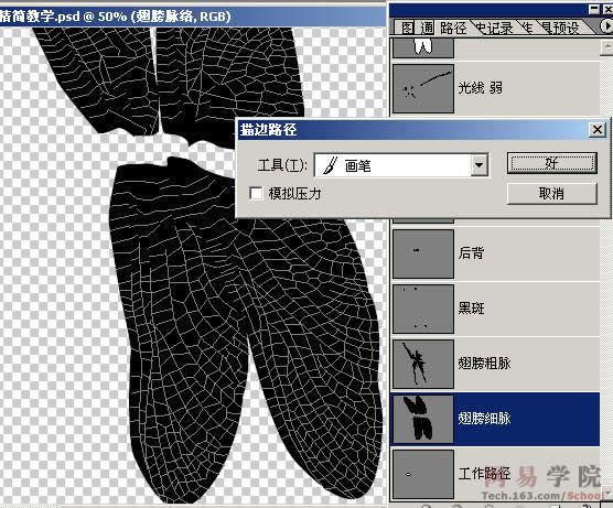 PS绘制蜻蜓的过程和效果-24.jpg