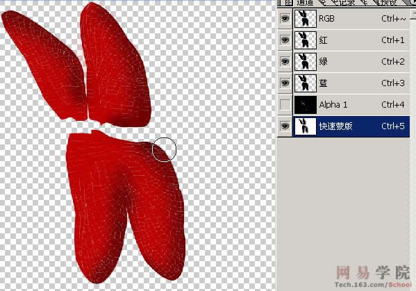 PS绘制蜻蜓的过程和效果-27.jpg