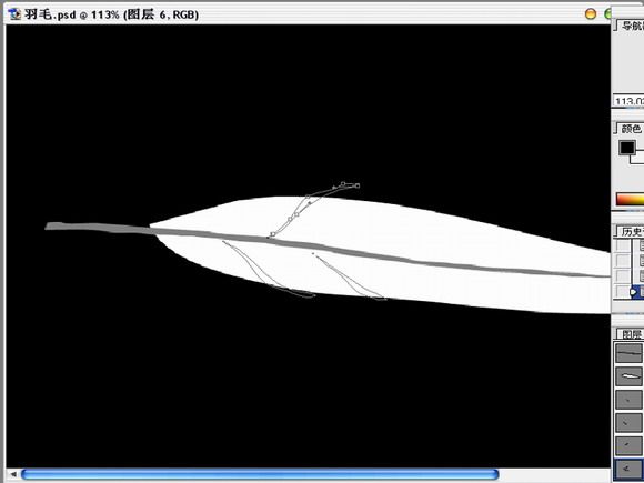 Photoshop绘制逼真的洁白羽毛-5.jpg