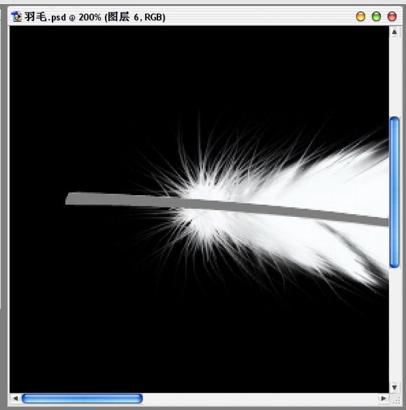 Photoshop绘制逼真的洁白羽毛-11.jpg