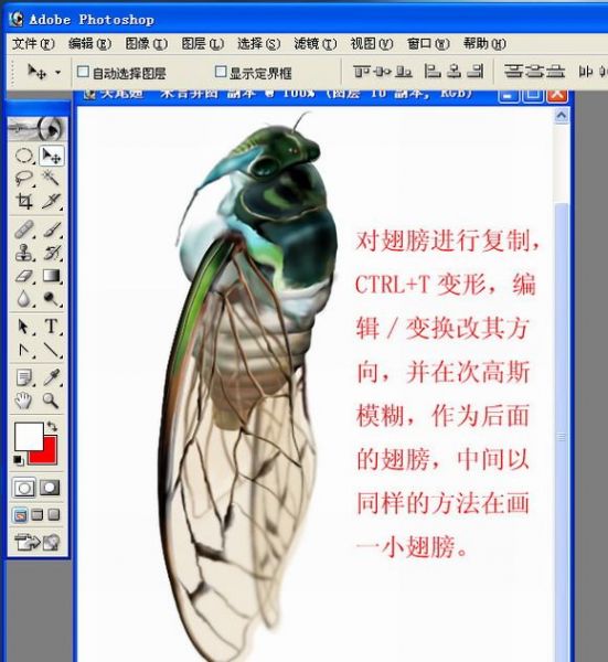 Photoshop手绘一只蝉-30.jpg